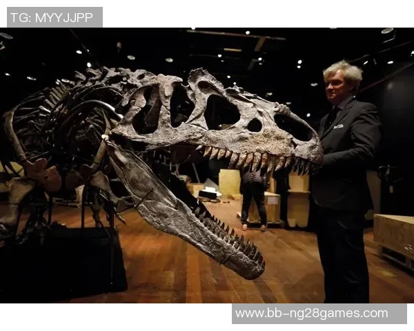 疯狂收藏家拆开足球星卡揭开背后惊人秘密与稀有卡片价值揭秘